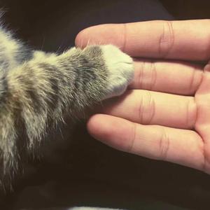 免费看外国人操逼
