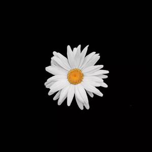 免费看外国人操逼
