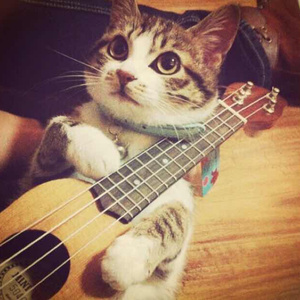 免费看外国人操逼
